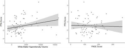 Sweat the Fall Stuff: Physical Activity Moderates the Association of White Matter Hyperintensities With Falls Risk in Older Adults